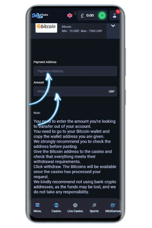 MyStake withdrawal form with amount and details
